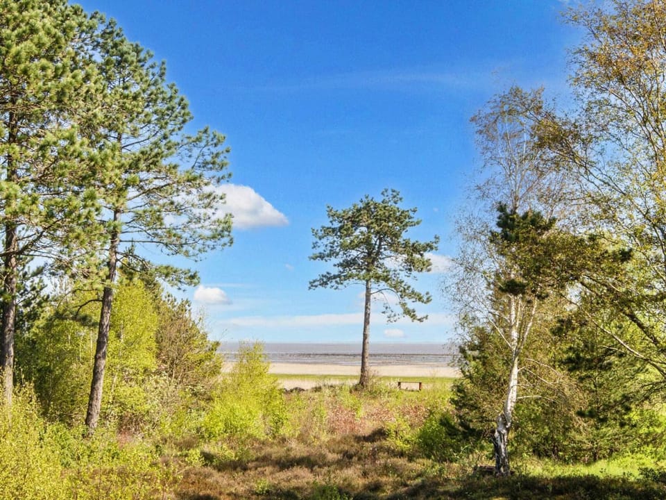 View (from property/room), Lake view
