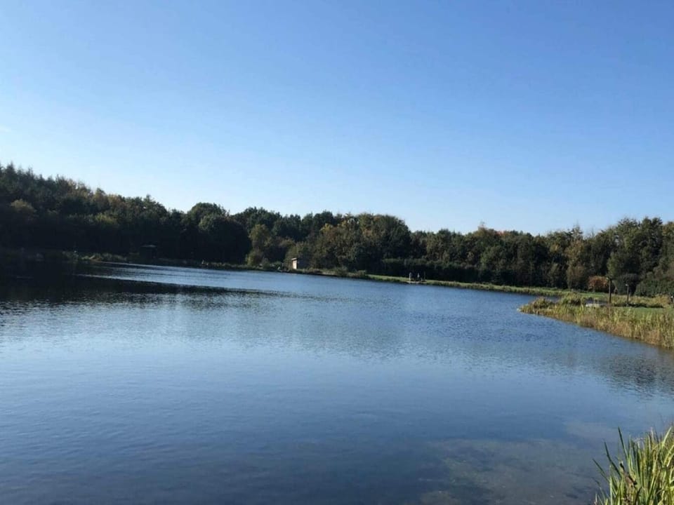 Lake view