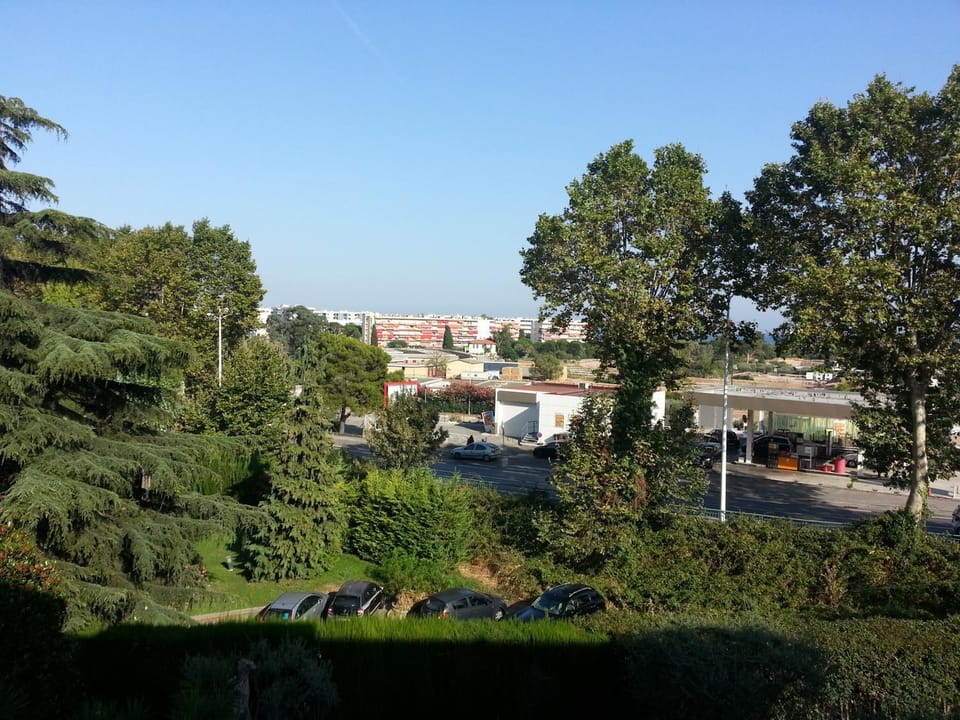 Garden view