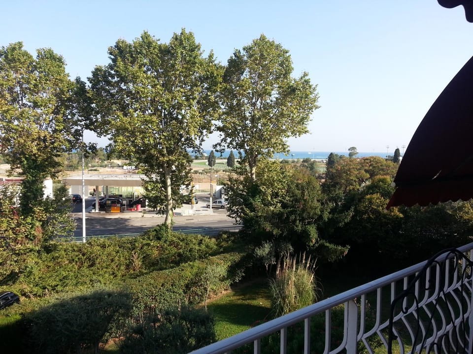 View (from property/room)