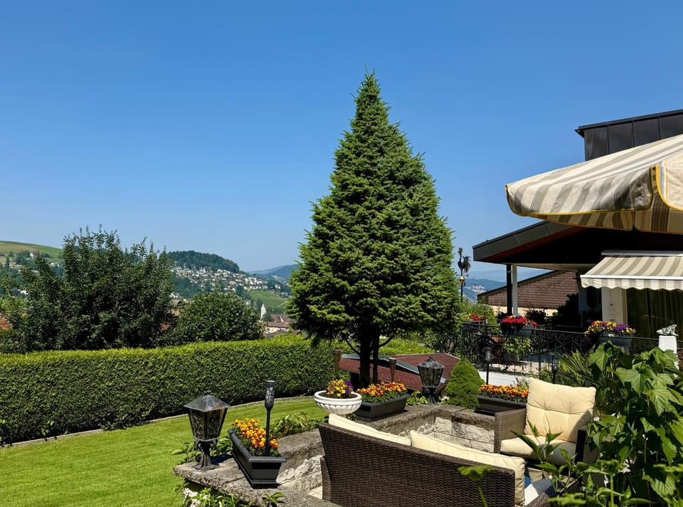 Day, Natural landscape, Garden, Garden view