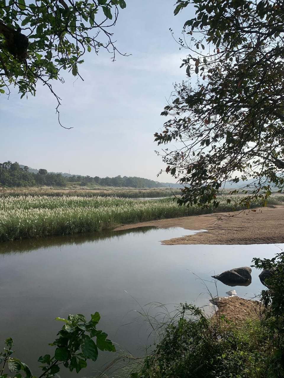 River view