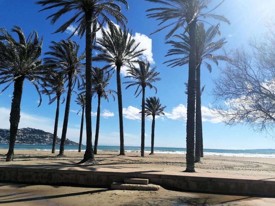 Estudio vista mar con parking - 4 pers. - ES-258-134 Apartment in Roses