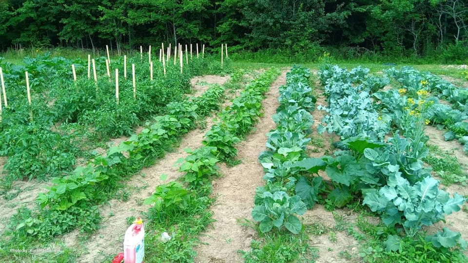 Garden, On site