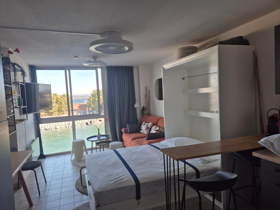 Le Pavois d'Or, studio rénové avec goût, Superbe Vue, Proximité Gare et Centre, Climatisation Apartment in Occitanie