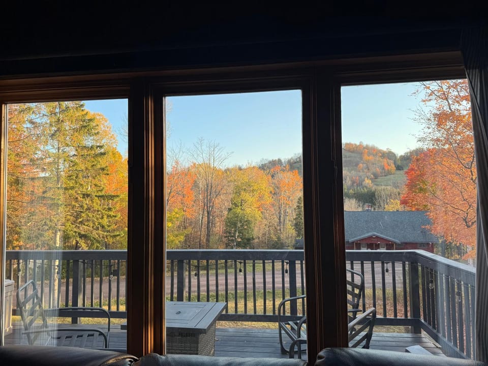 View (from property/room)