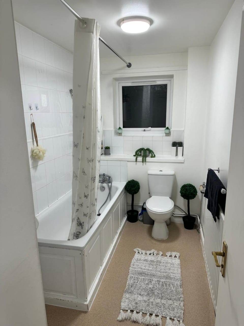 Cozy spacious 1 bedroom flat Apartment in London Borough of Ealing