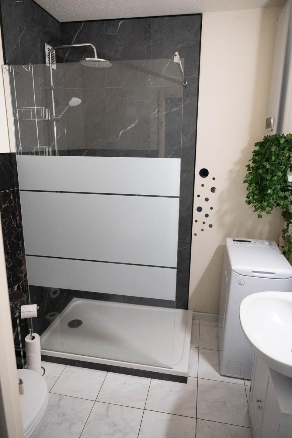 Shower, Toilet, washing machine
