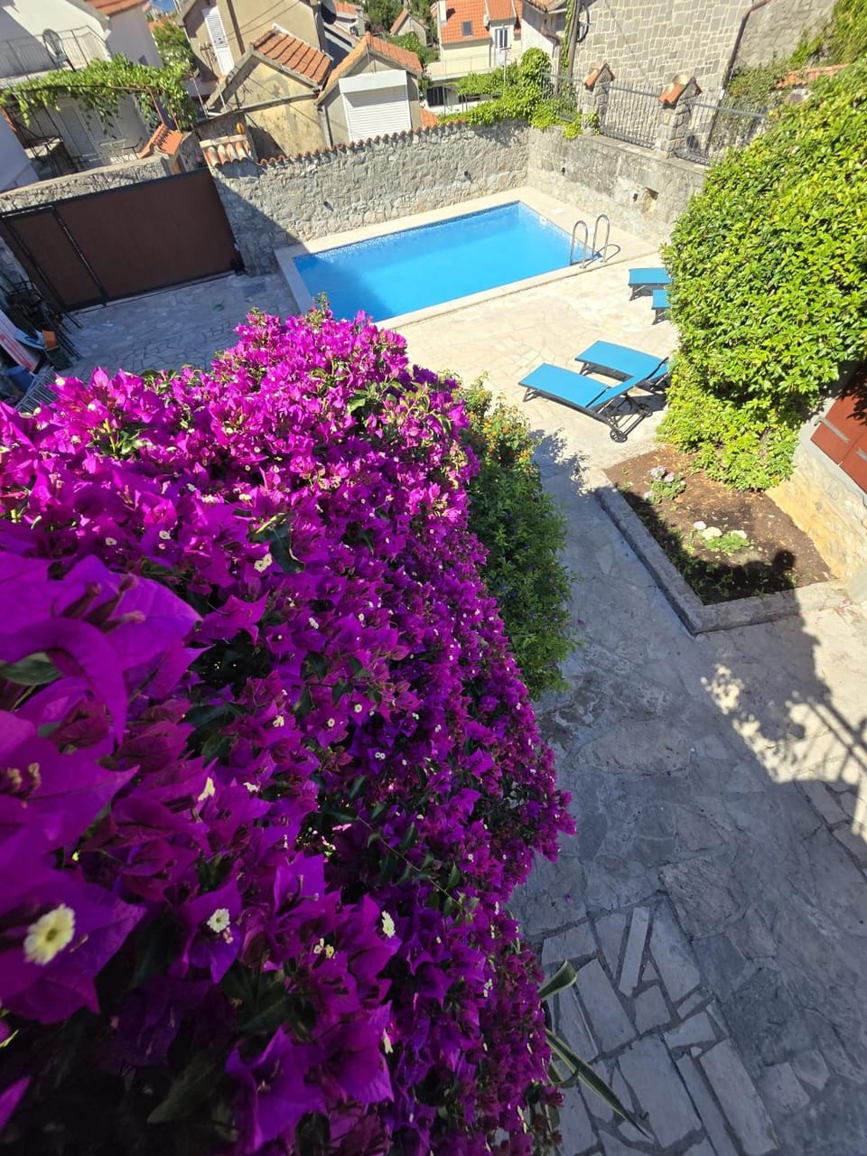 Bird's eye view, Garden, Garden view, Swimming pool