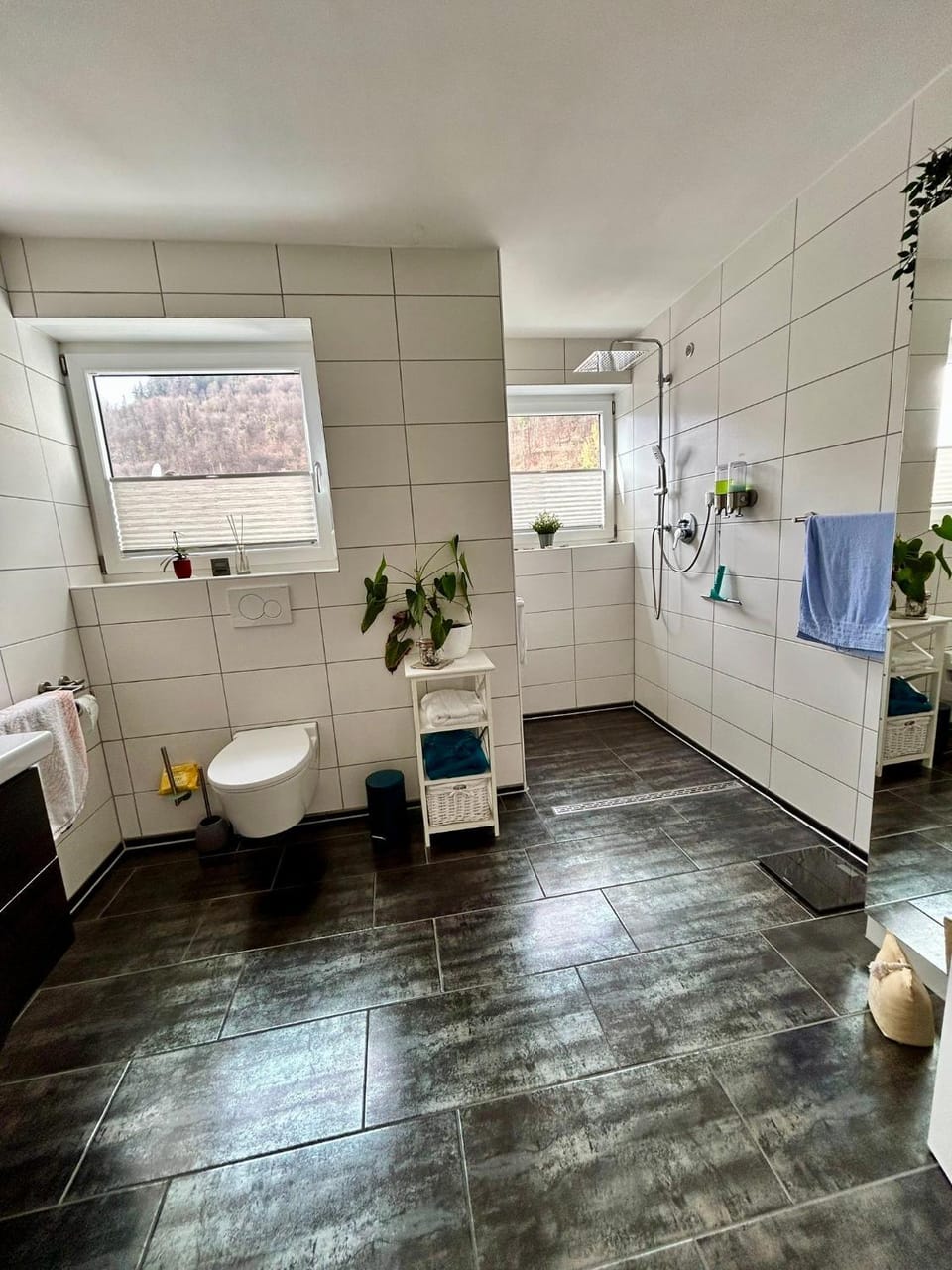 Cube - Ferienhaus mit Garten und Terrasse in Eberbach House in Baden-Württemberg