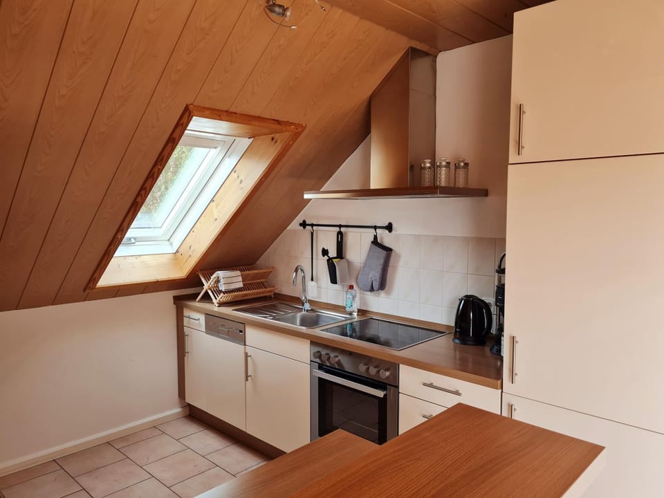 Kitchen or kitchenette, dishwasher, minibar, stove