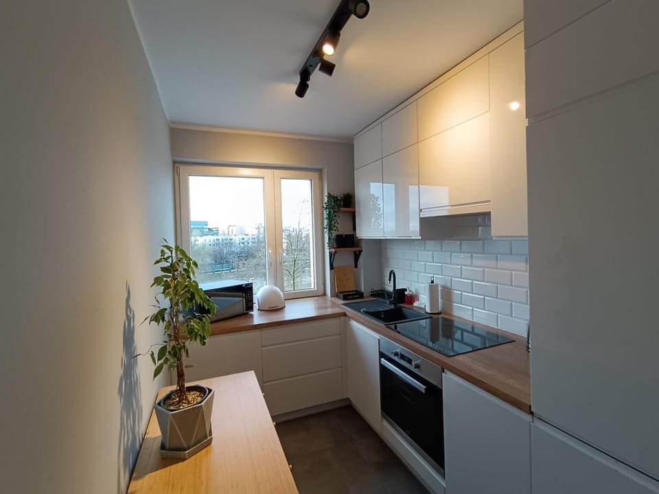 minibar, stove, kitchen