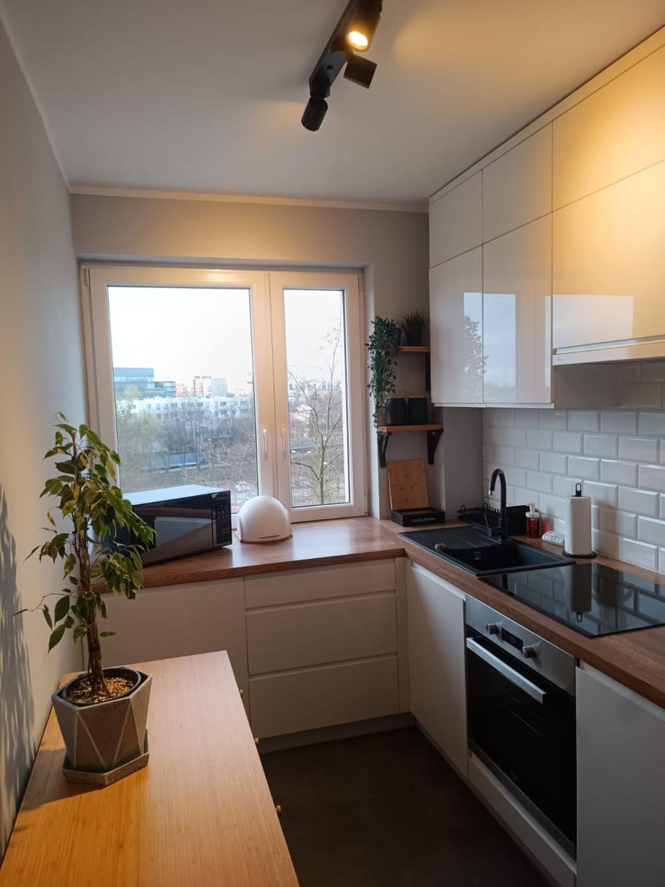 minibar, stove, kitchen