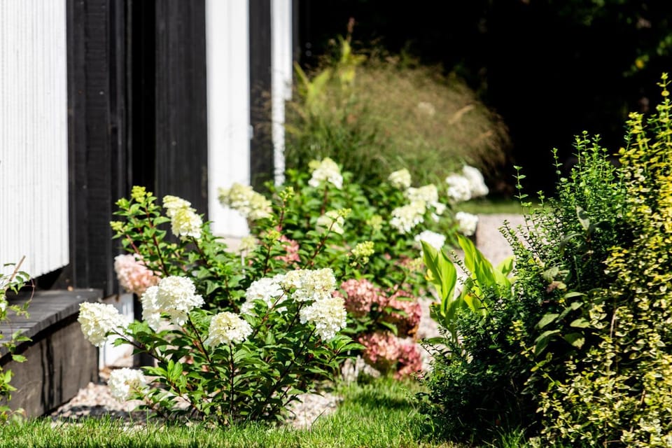Pušyno apartamentai Apartment in Lithuania
