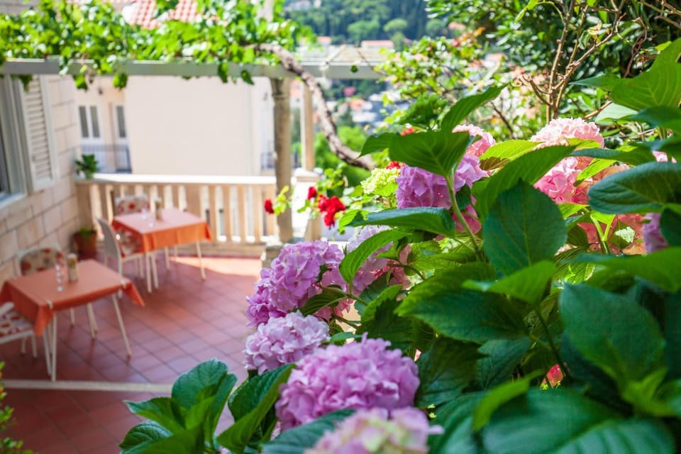 Spring, Balcony/Terrace