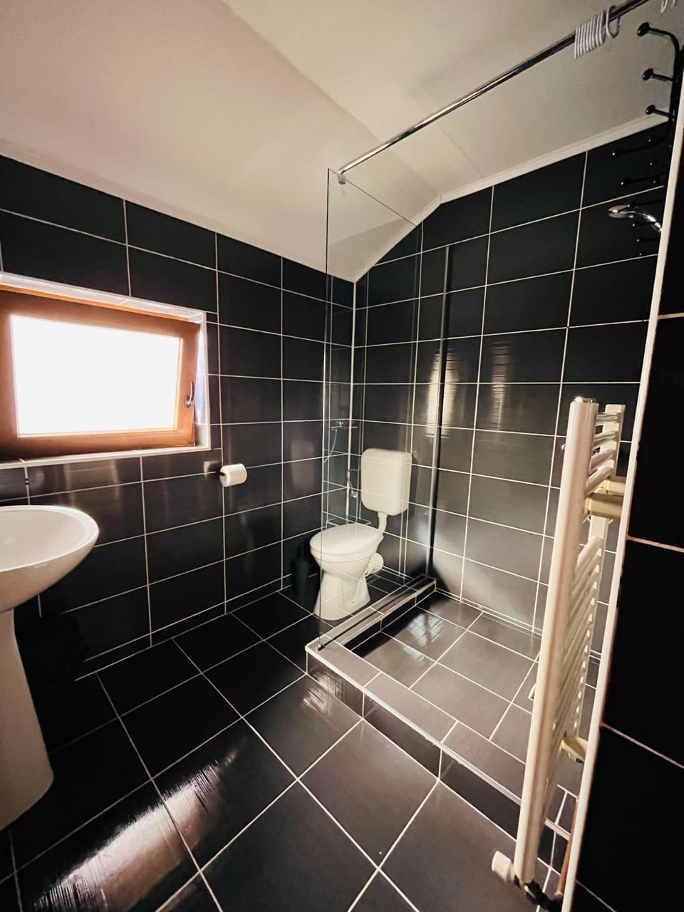 Shower, Toilet, Bathroom
