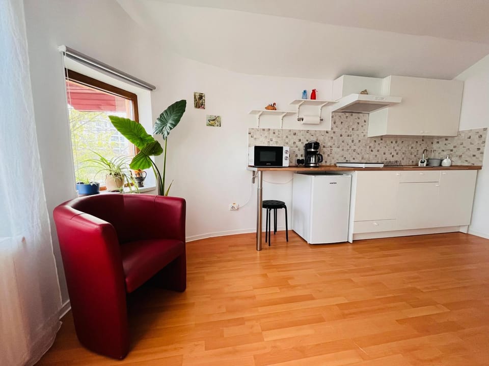 Coffee/tea facilities, Kitchen or kitchenette, minibar, stove, toaster