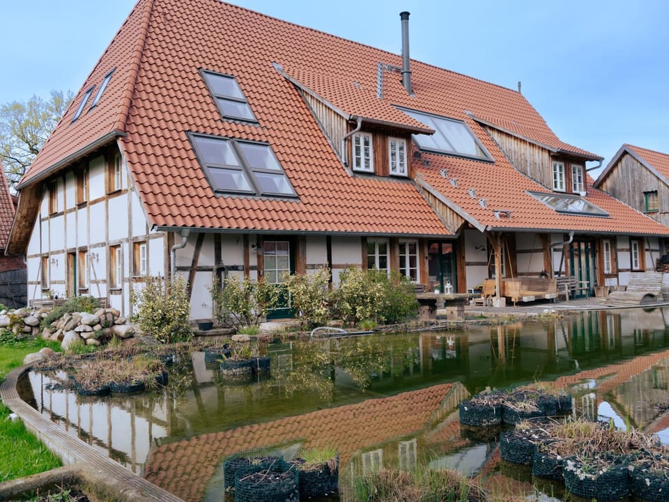Lake view