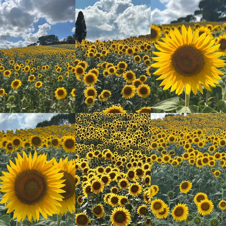 La Casa di Orazio House in Tuscany