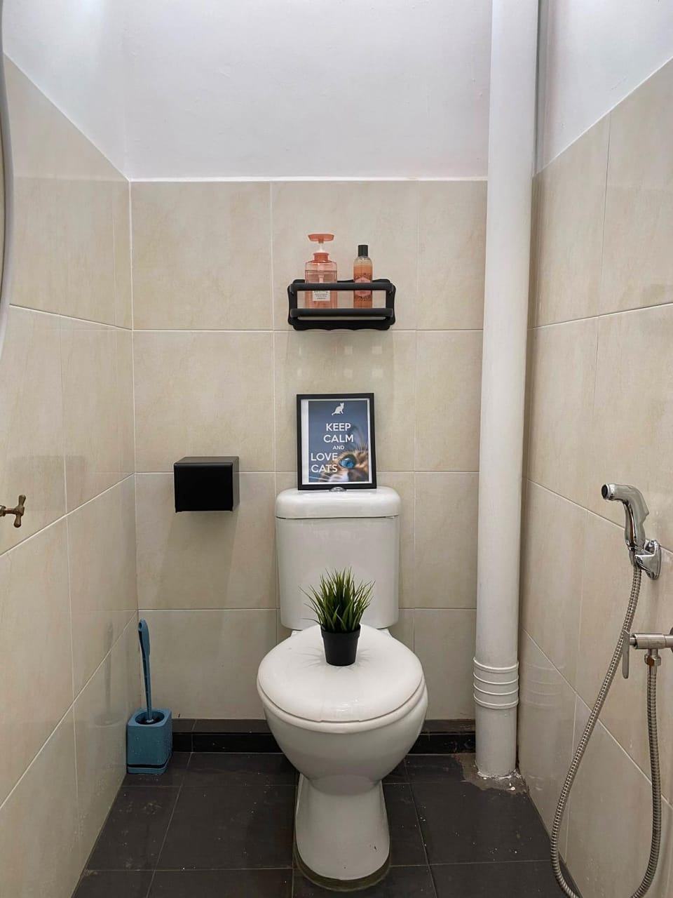 Toilet, Bathroom, towels
