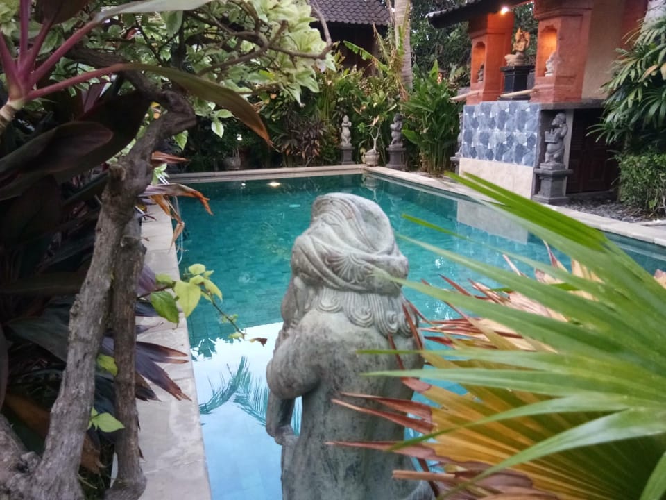 Swimming pool, Swimming pool
