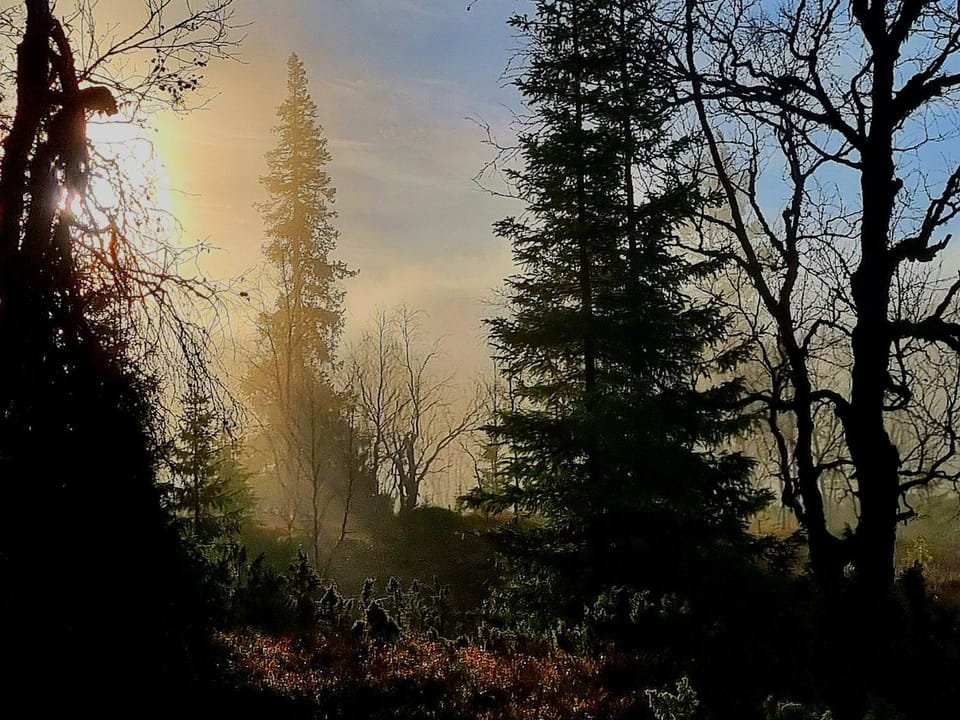 Natural landscape, Autumn