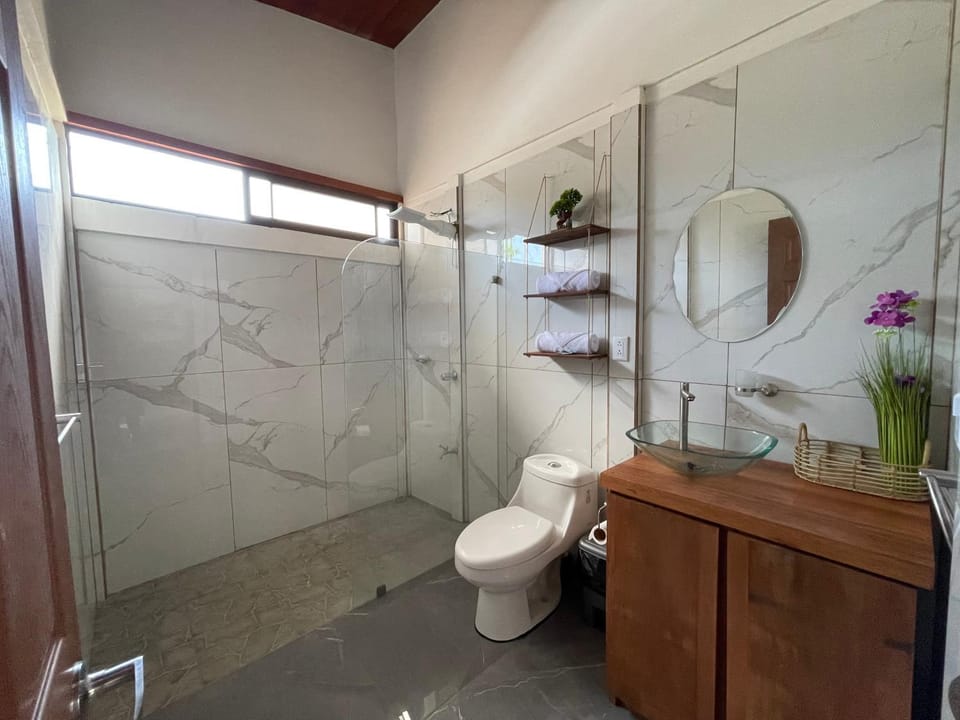 Shower, Toilet, Bathroom, towels