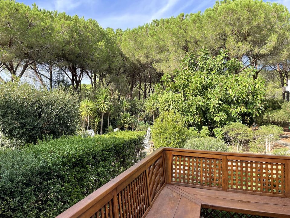Natural landscape, Garden, Balcony/Terrace