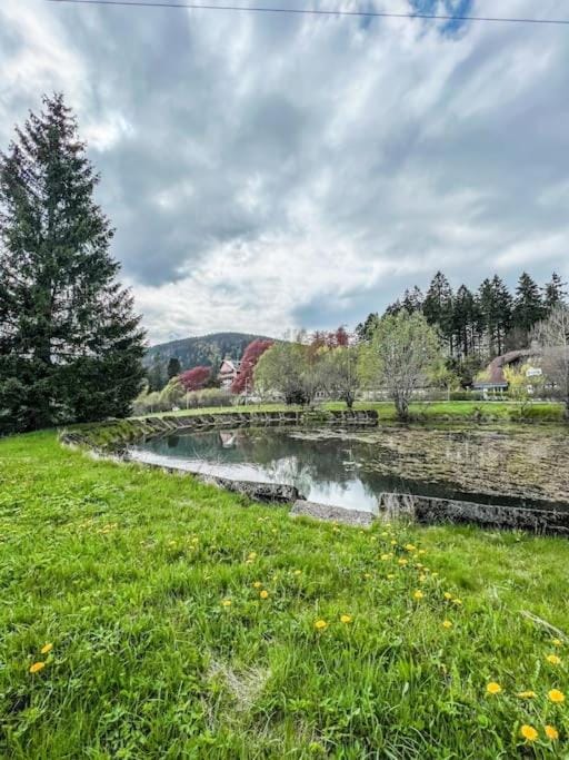 Apartmán pod Prokopem Apartment in Czechia