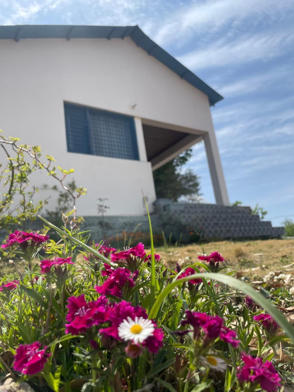 Property building, Day, Garden, Garden view