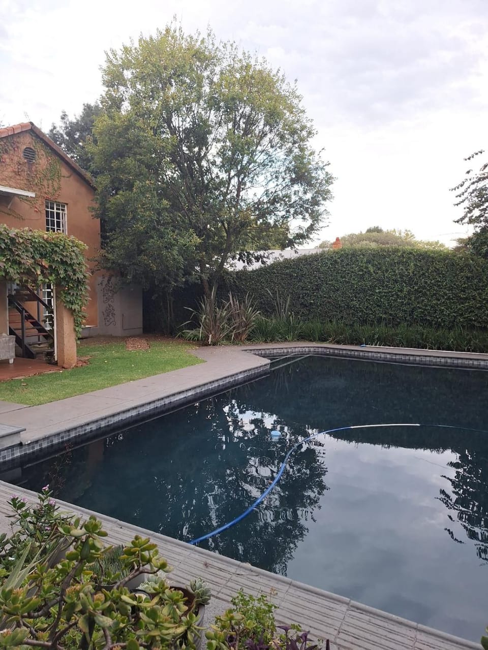 Die Eend Studio Apartment in Pretoria