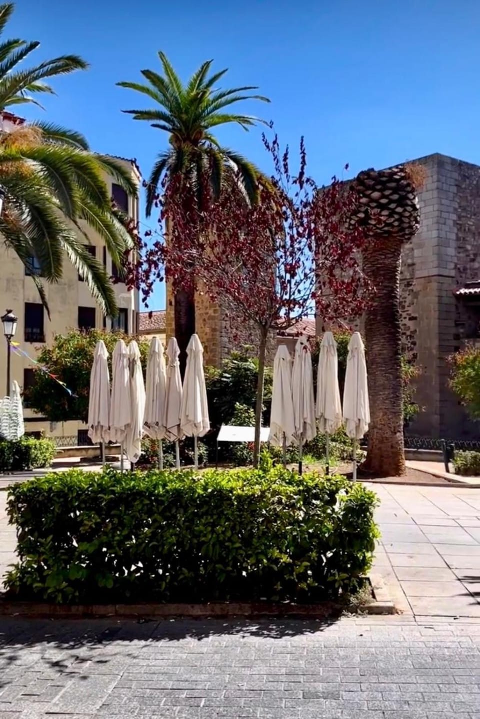 Apartamento Las Bóvedas Apartment in Cáceres‎