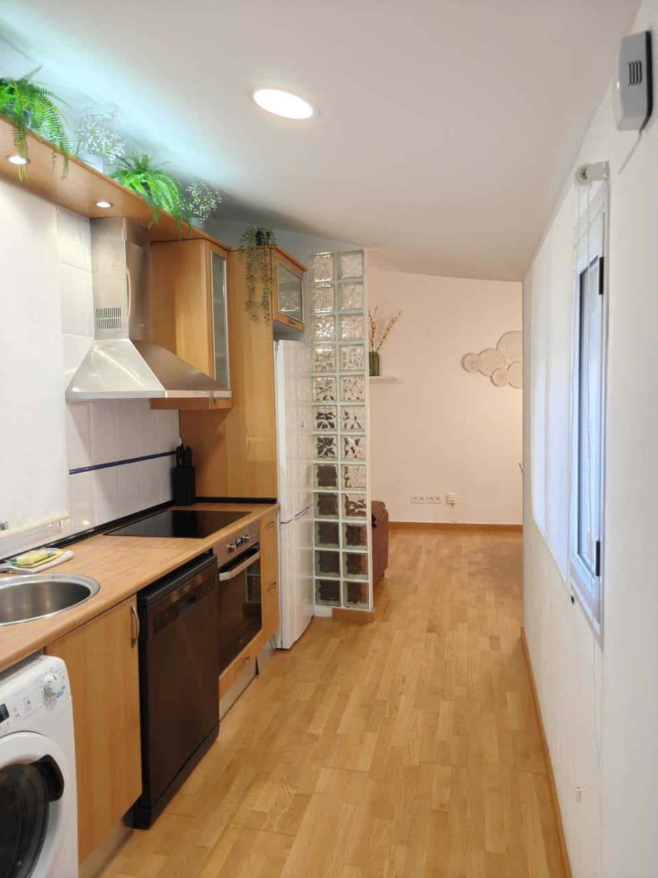 Kitchen or kitchenette, dishwasher, oven, stove, toaster