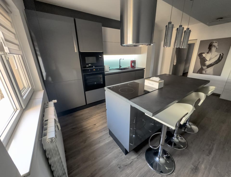 Kitchen or kitchenette, minibar, oven, pet friendly, stove