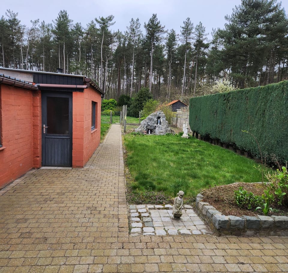 Day, Garden, Garden, Garden view