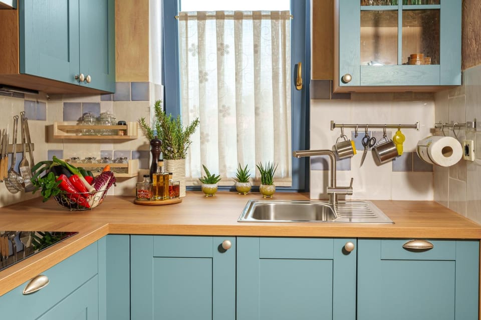 Kitchen or kitchenette, dishwasher, minibar, pet friendly, stove