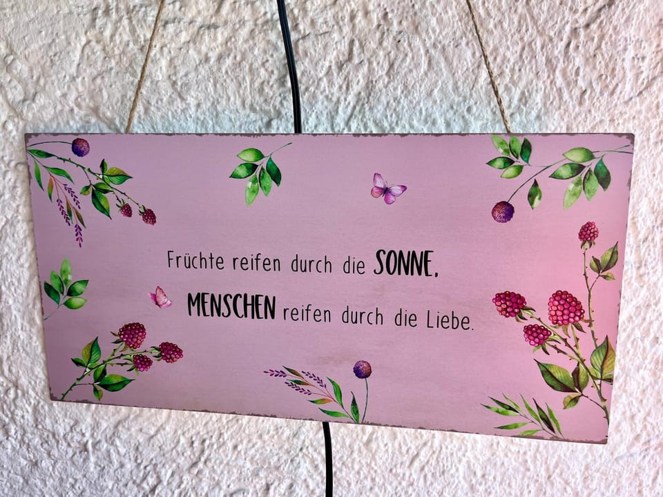 Ferienwohnung SeeLiebe Apartment in Friedrichshafen