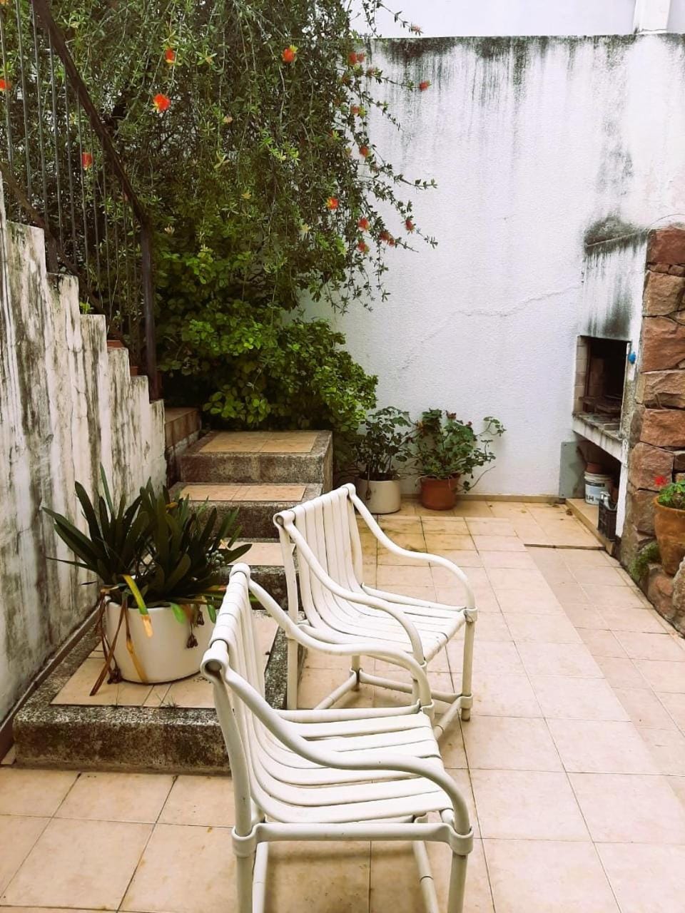 BBQ facilities, Garden