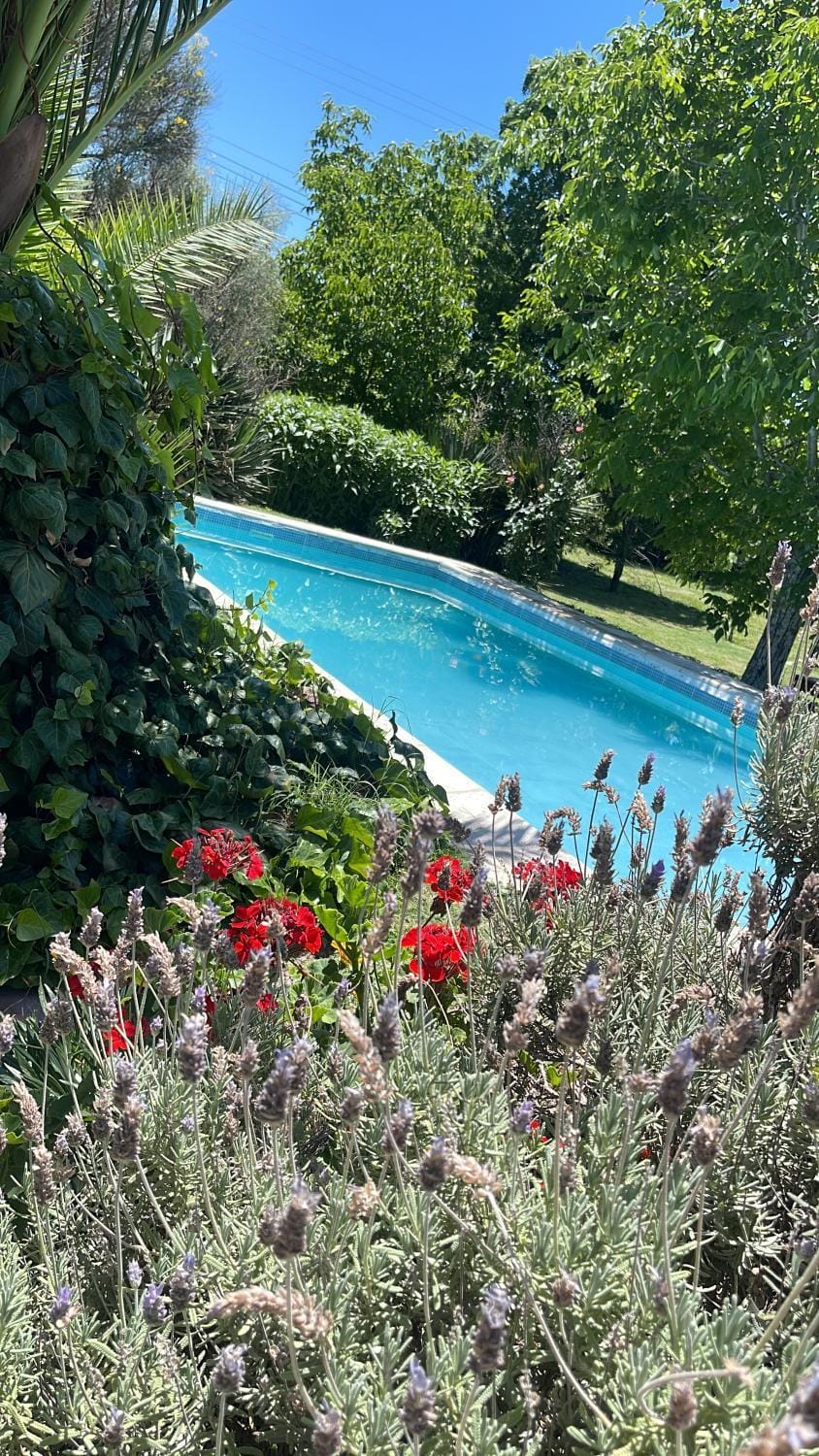 Cabaña La Finca Chalet in Mendoza Province Province
