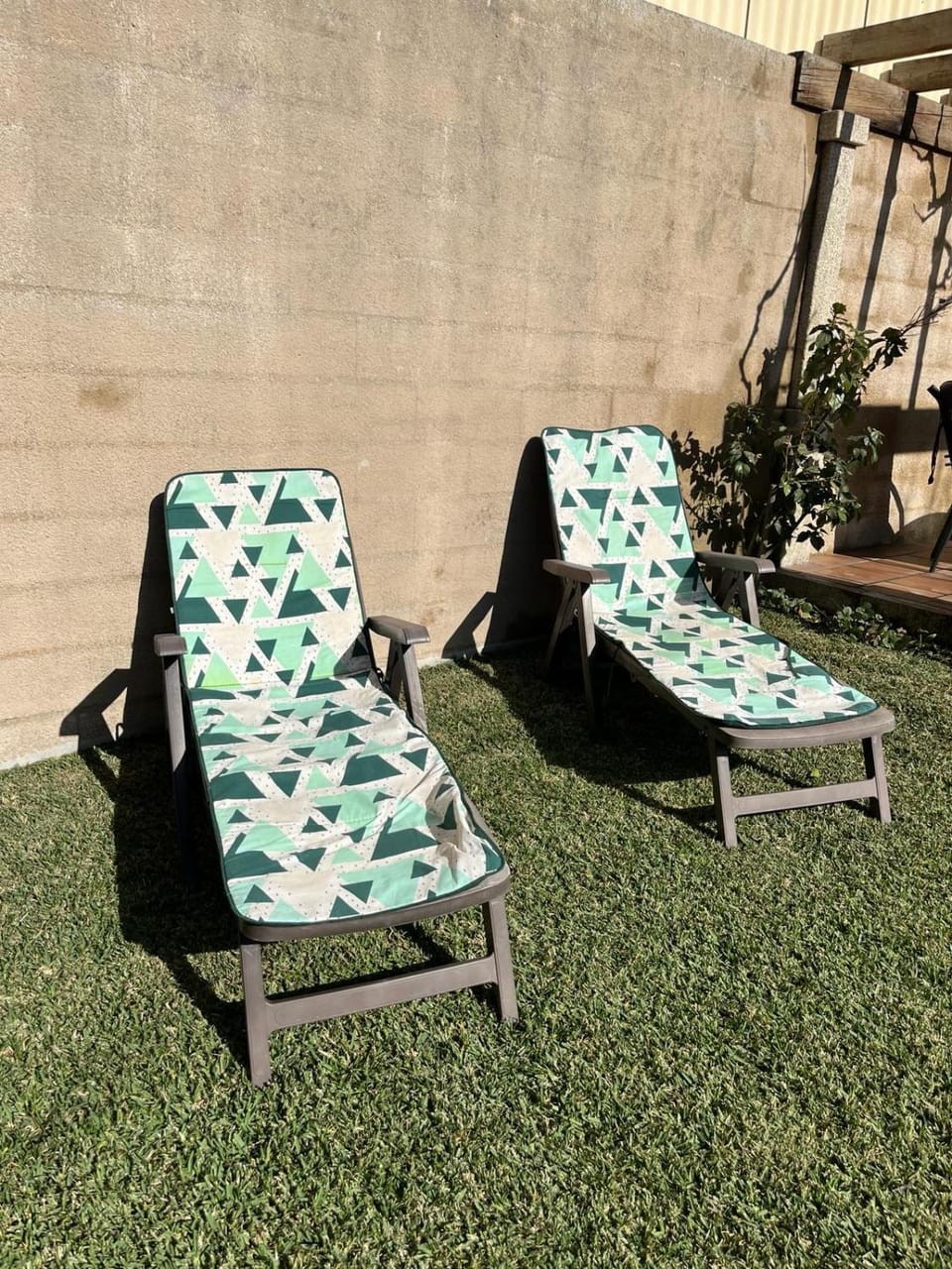 Garden, Garden view, sunbed