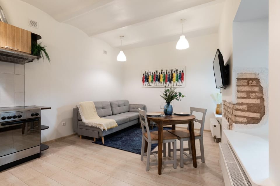 Homey apartment central Apartment in Vilnius