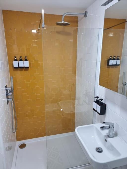 Entire Ground Floor Flat, Free Off-Street Parking and Large Garden Apartment in London Borough of Southwark