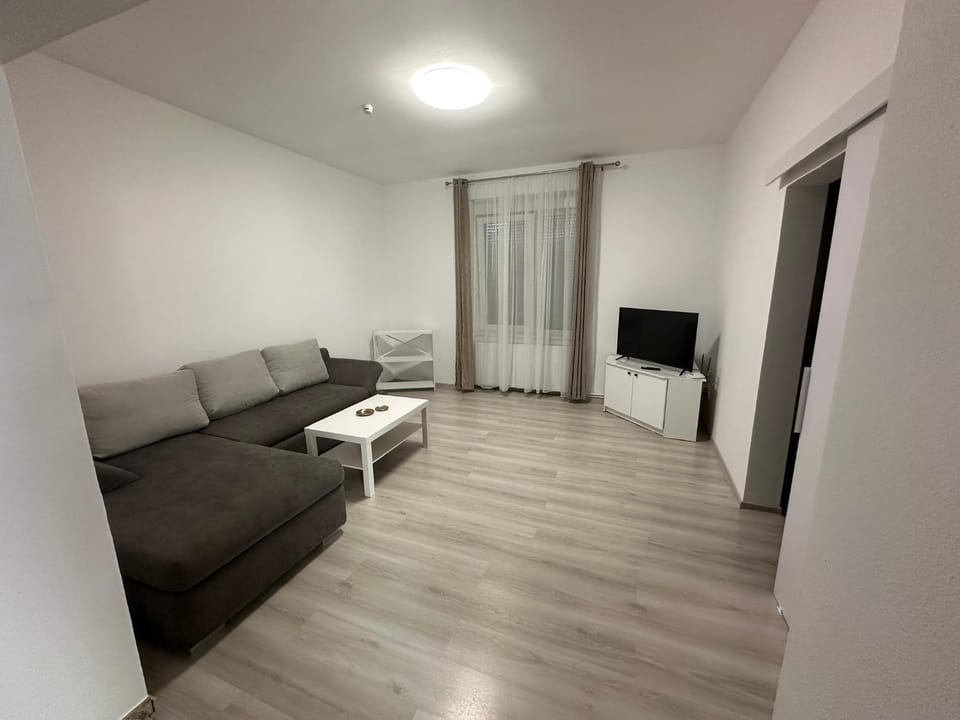 Aparthouse 1 Apartment in Timiș County