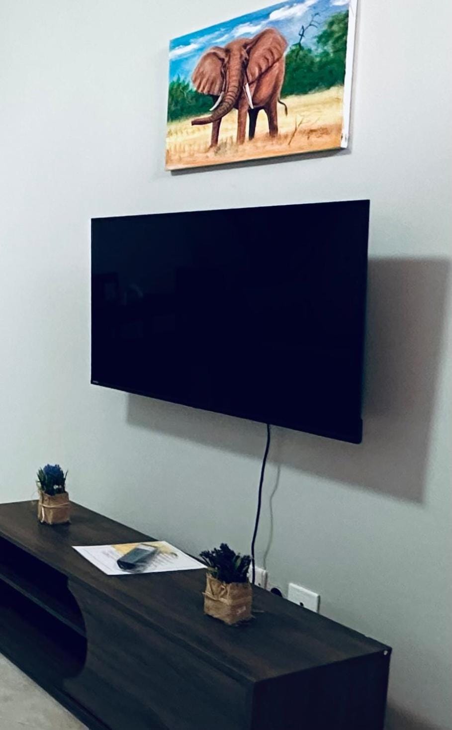 TV and multimedia