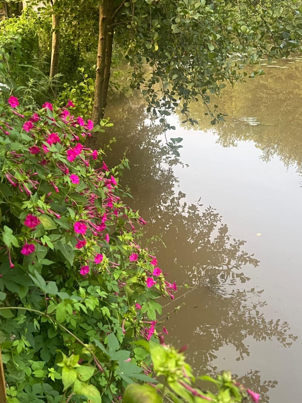 Studio St Florentin Apartment in Bourgogne-Franche-Comté