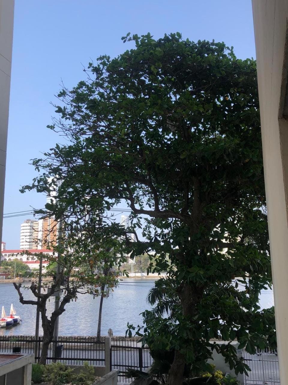Lake view