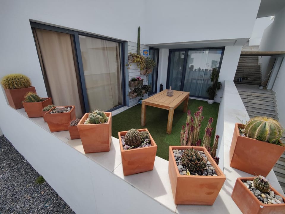 Day, Balcony/Terrace, Balcony/Terrace