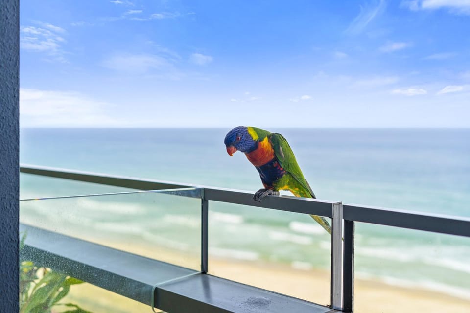 Sea view