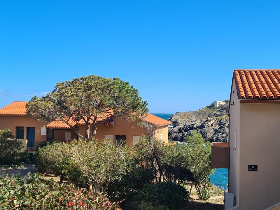 Joli T2 à Collioure, accès direct plage, climatisation, parking privé - FR-1-309-433 Apartment in Collioure