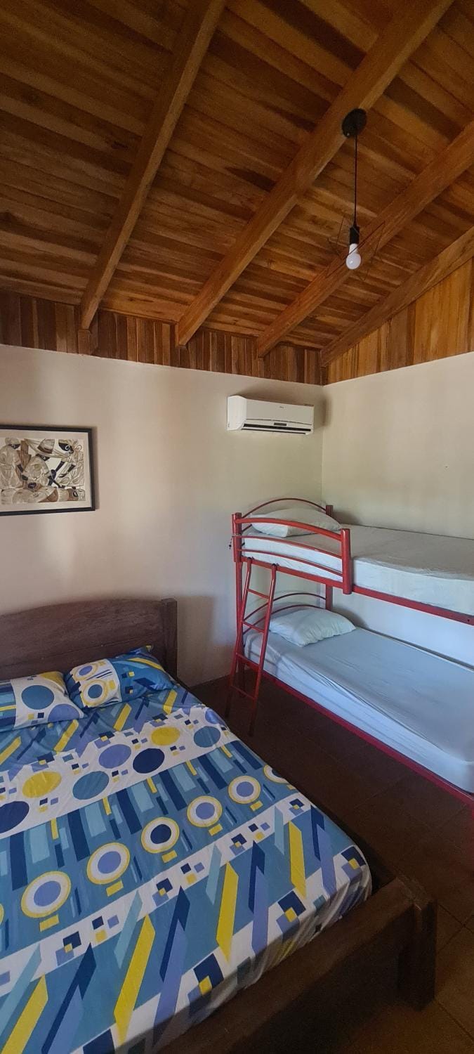 Bed, Photo of the whole room, Bedroom, bunk bed